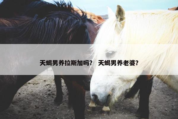 天蝎男养拉斯加吗？ 天蝎男养老婆？