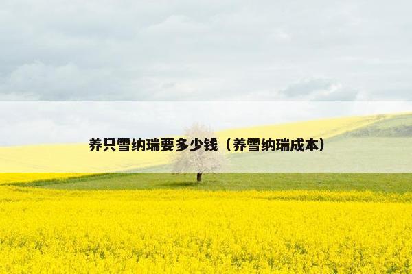 养只雪纳瑞要多少钱（养雪纳瑞成本）