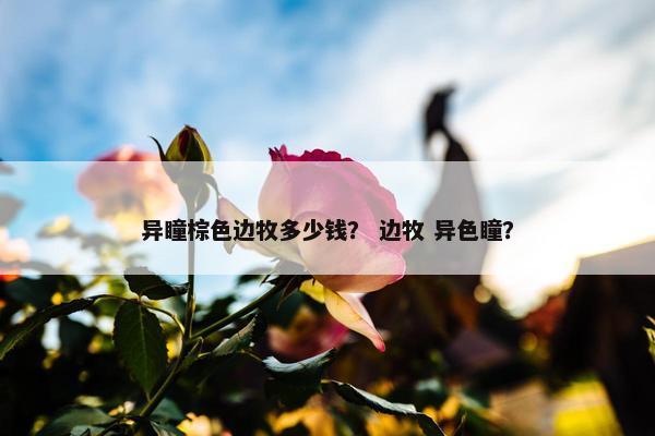 异瞳棕色边牧多少钱？ 边牧 异色瞳？