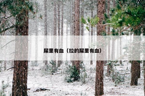 屎里有血（拉的屎里有血）