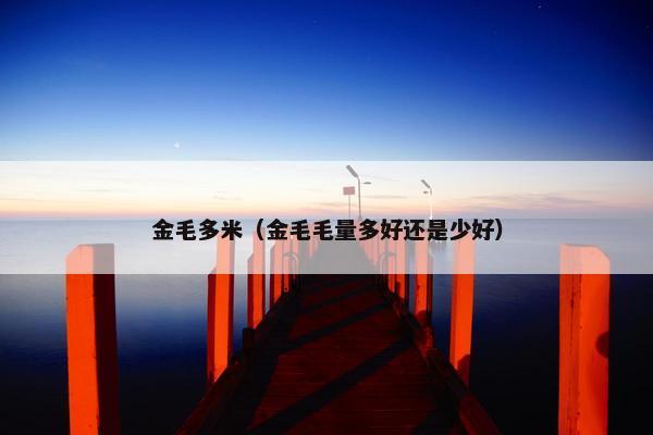 金毛多米（金毛毛量多好还是少好）