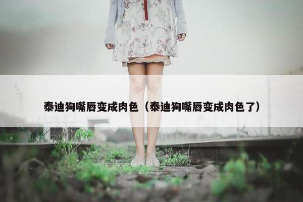 泰迪狗嘴唇变成肉色（泰迪狗嘴唇变成肉色了）