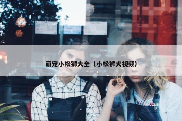 萌宠小松狮大全（小松狮犬视频）