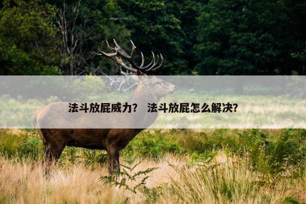 法斗放屁威力？ 法斗放屁怎么解决？