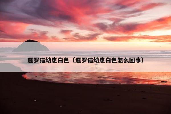 暹罗猫幼崽白色（暹罗猫幼崽白色怎么回事）