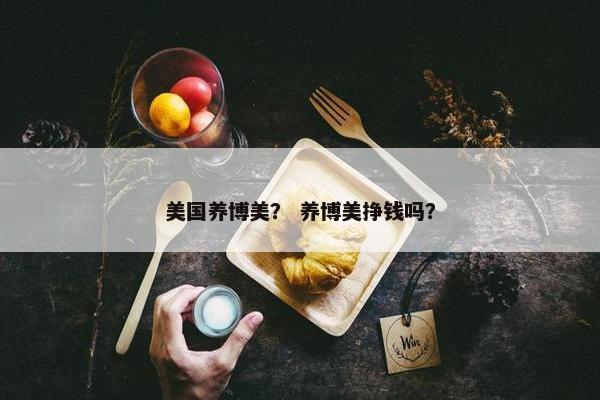 美国养博美？ 养博美挣钱吗？