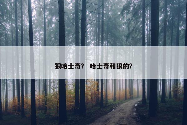 狼哈士奇？ 哈士奇和狼的？