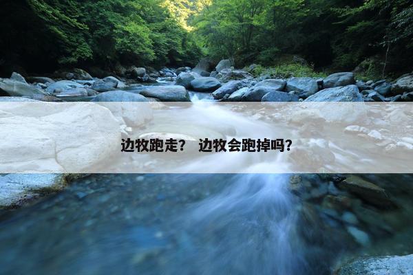 边牧跑走？ 边牧会跑掉吗？