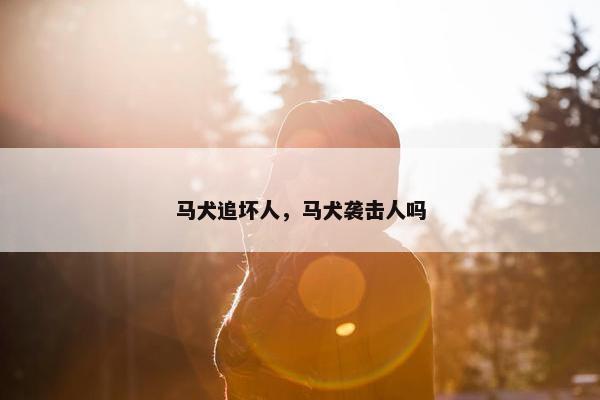 马犬追坏人，马犬袭击人吗