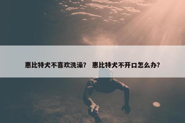 惠比特犬不喜欢洗澡？ 惠比特犬不开口怎么办？