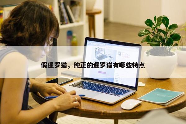 假暹罗猫，纯正的暹罗猫有哪些特点