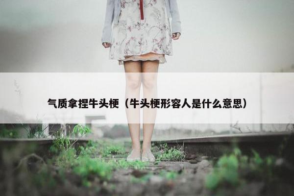 气质拿捏牛头梗（牛头梗形容人是什么意思）
