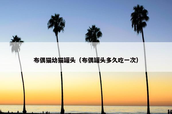 布偶猫幼猫罐头（布偶罐头多久吃一次）
