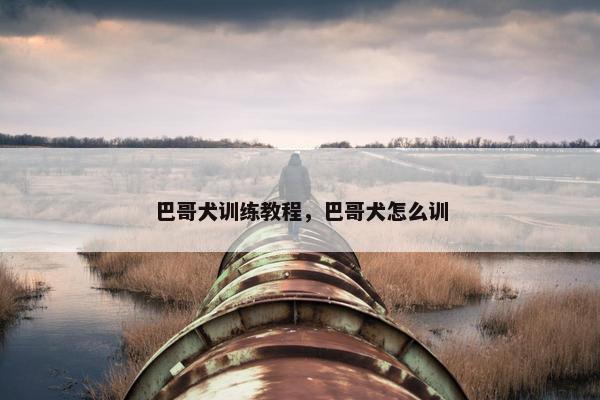 巴哥犬训练教程，巴哥犬怎么训