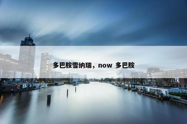 多巴胺雪纳瑞，now 多巴胺
