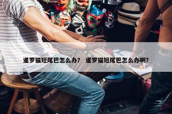 暹罗猫短尾巴怎么办？ 暹罗猫短尾巴怎么办啊？