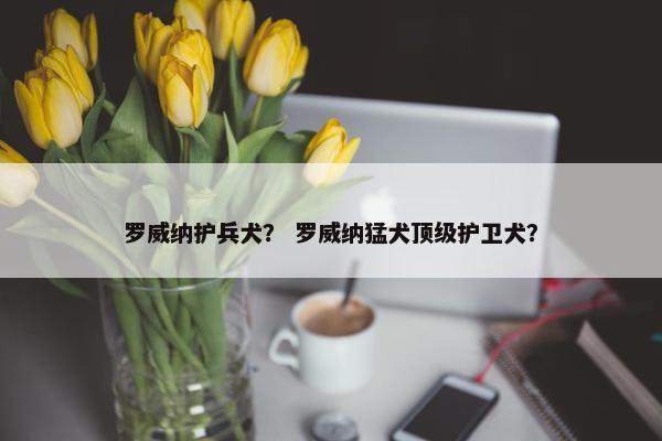 罗威纳护兵犬？ 罗威纳猛犬顶级护卫犬？