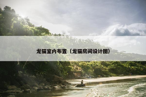 龙猫室内布置（龙猫房间设计图）