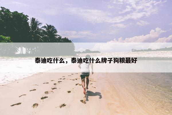 泰迪吃什么，泰迪吃什么牌子狗粮最好