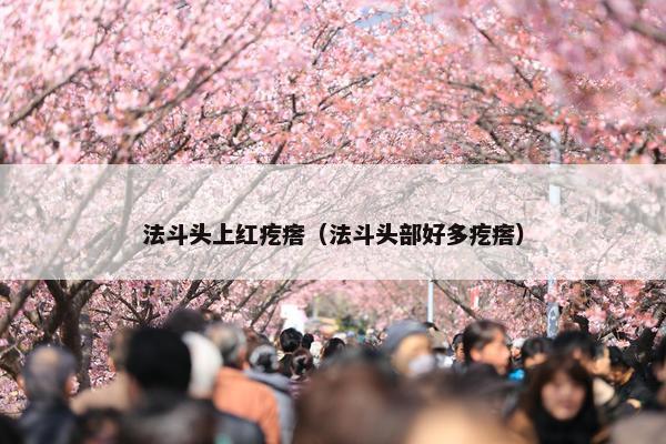 法斗头上红疙瘩（法斗头部好多疙瘩）