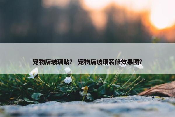 宠物店玻璃贴？ 宠物店玻璃装修效果图？