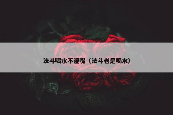 法斗喝水不湿嘴（法斗老是喝水）
