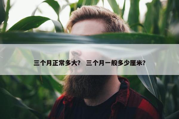 三个月正常多大？ 三个月一般多少厘米？