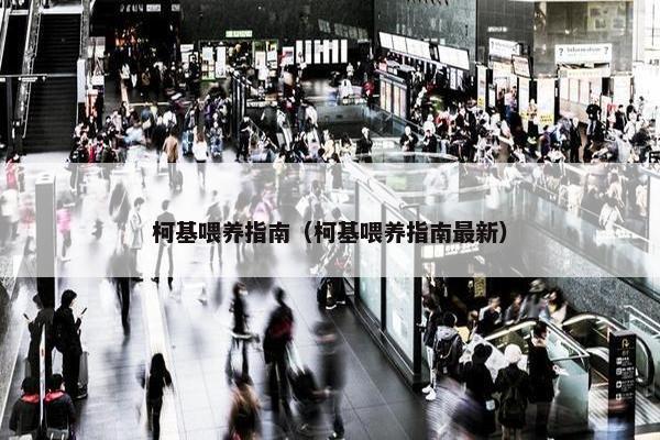 柯基喂养指南（柯基喂养指南最新）