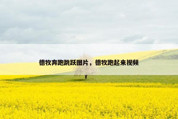 德牧奔跑跳跃图片，德牧跑起来视频