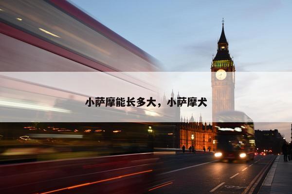 小萨摩能长多大，小萨摩犬