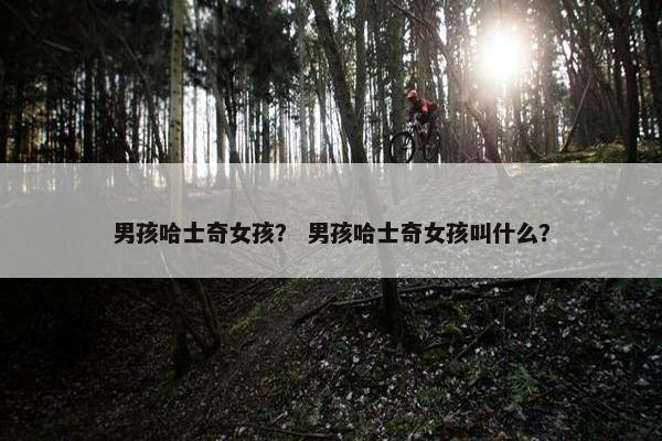 男孩哈士奇女孩？ 男孩哈士奇女孩叫什么？