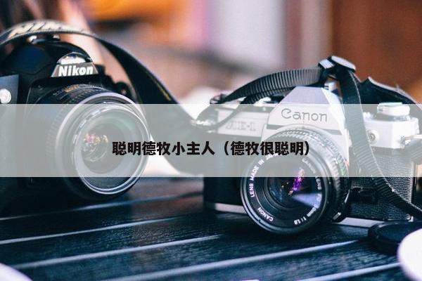 聪明德牧小主人（德牧很聪明）