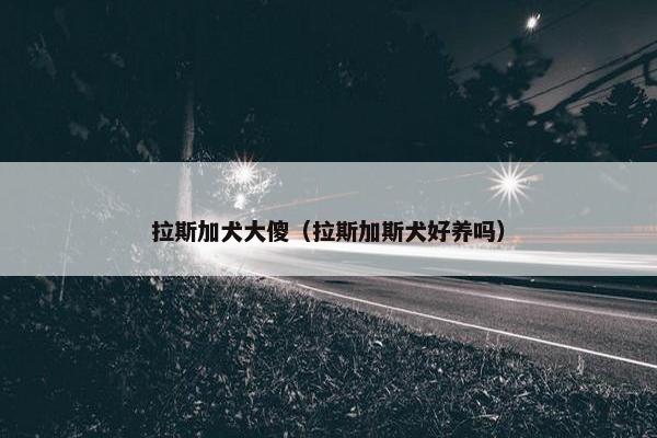 拉斯加犬大傻（拉斯加斯犬好养吗）