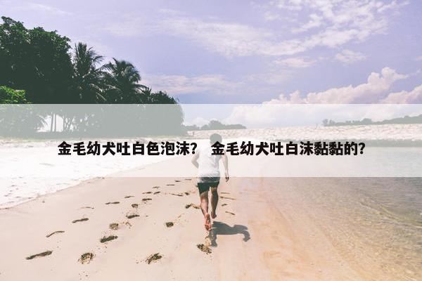 金毛幼犬吐白色泡沫？ 金毛幼犬吐白沫黏黏的？