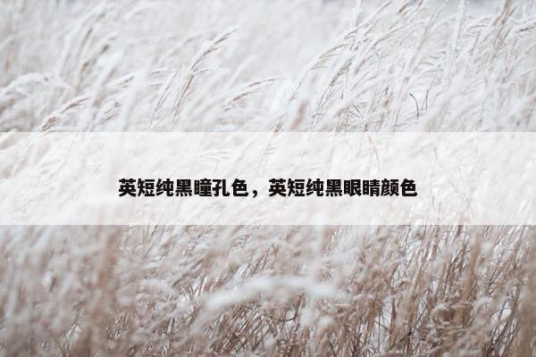 英短纯黑瞳孔色，英短纯黑眼睛颜色