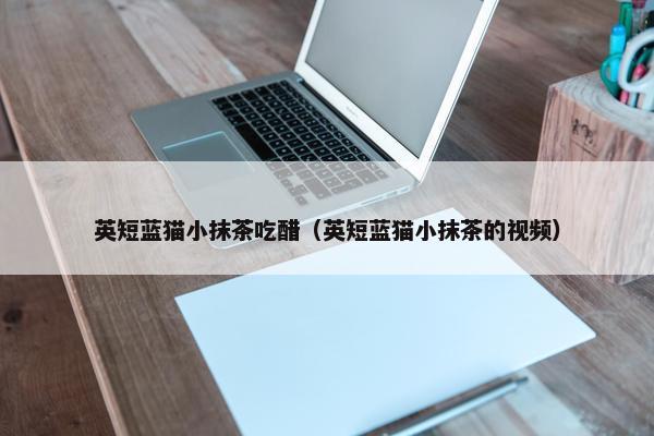 英短蓝猫小抹茶吃醋（英短蓝猫小抹茶的视频）