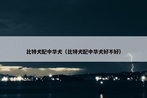 比特犬配中华犬（比特犬配中华犬好不好）