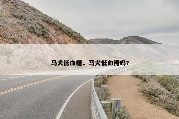 马犬低血糖，马犬低血糖吗?