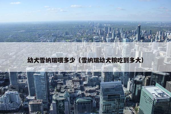 幼犬雪纳瑞喂多少（雪纳瑞幼犬粮吃到多大）