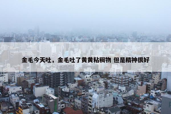金毛今天吐，金毛吐了黄黄粘稠物 但是精神很好