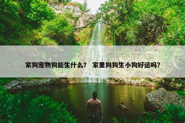 家狗宠物狗能生什么？ 家里狗狗生小狗好运吗？