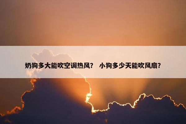 奶狗多大能吹空调热风？ 小狗多少天能吹风扇？