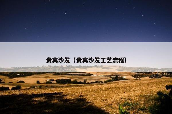 贵宾沙发（贵宾沙发工艺流程）