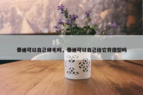 泰迪可以自己修毛吗，泰迪可以自己给它剪造型吗