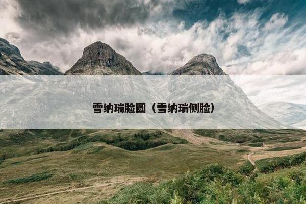 雪纳瑞脸圆（雪纳瑞侧脸）