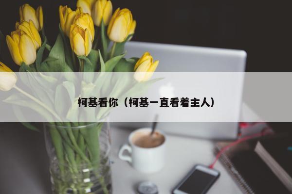 柯基看你（柯基一直看着主人）