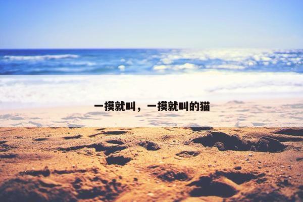 一摸就叫，一摸就叫的猫