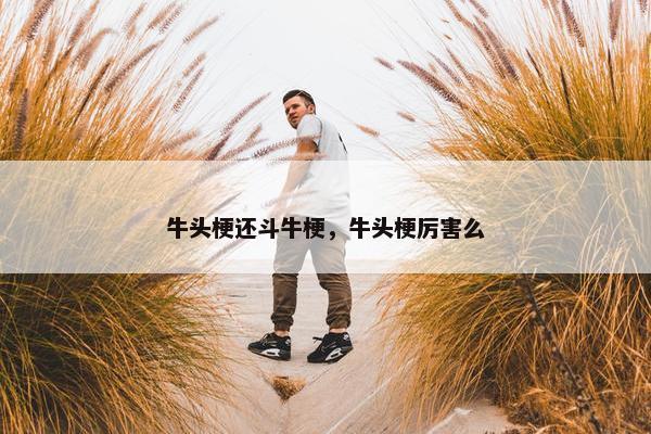 牛头梗还斗牛梗，牛头梗厉害么
