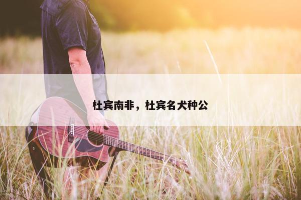 杜宾南非，杜宾名犬种公