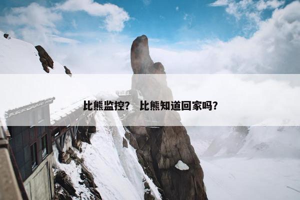 比熊监控？ 比熊知道回家吗？